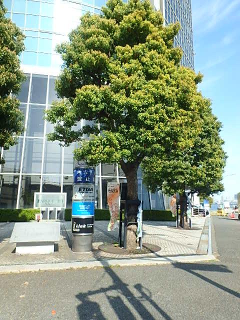 エントランス①
