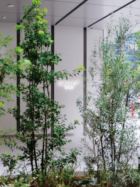 ＣＩＲＣＬＥＳ＋新橋エントランス①