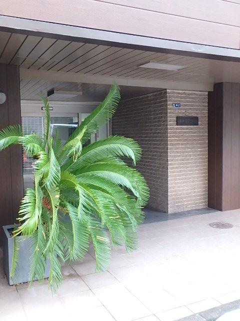 エントランス②