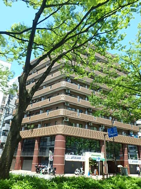ＤｅＬＣＣＳ山吹神楽坂外観④