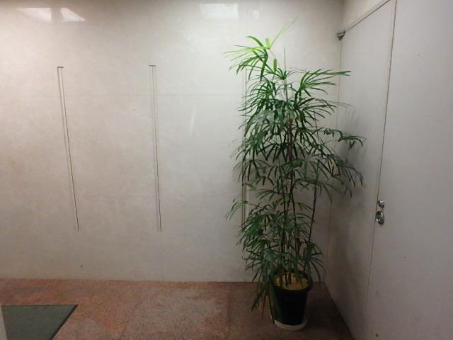 星野第２ビルホール①